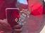 Immagine 6