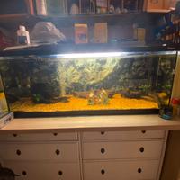 Acquario completo 200 litri