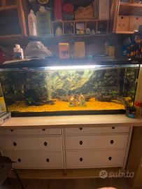 Acquario completo 200 litri