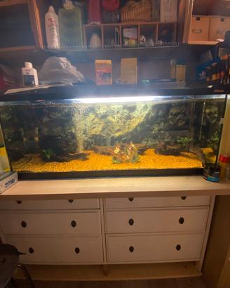 Acquario completo 200 litri