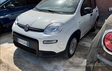 Fiat Panda 1.0 FireFly S&S Hybrid 70cv