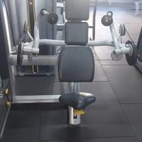 Tecnogym Triceps