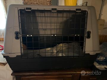 Trasportino cane