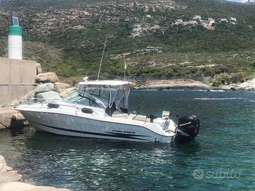 Hydra-Sports 2900 Vector anno 2007