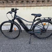 Bicicletta eBike touring Riverside 500e
