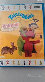 Teletubbies DVD 