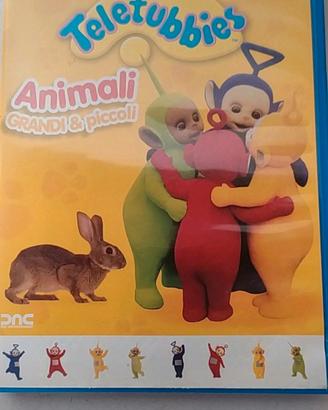 Teletubbies DVD 