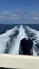 Motore fuoribordo Mercury 200 Pro XS 80 ore