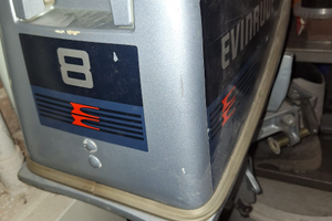 Motore fuoribordo evinrude