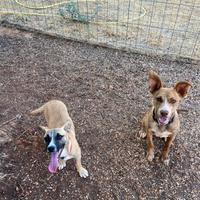 TINA e BINA, due meraviglie da amare