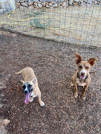 TINA e BINA, due meraviglie da amare