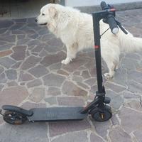 Monopattino elettrico E-Bike Mono Air S-2