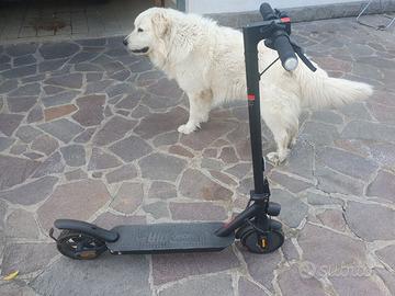 Monopattino elettrico E-Bike Mono Air S-2