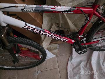 bici montano