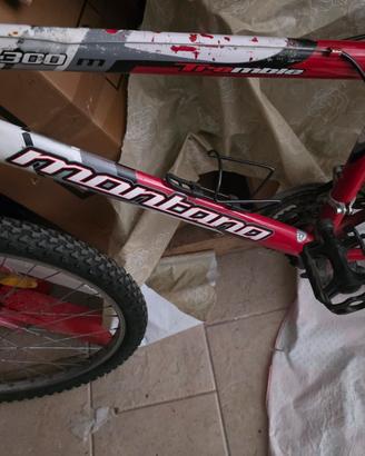 bici montano