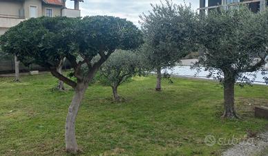 Privato vende nuova villa fronte mare, prima fila