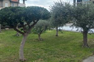 Privato vende nuova villa fronte mare, prima fila