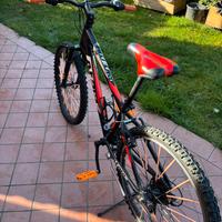 Bici (leggere descrizione)