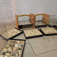 collezione minerali,pietre preziose e fossili