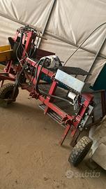 Cava radicchio comar