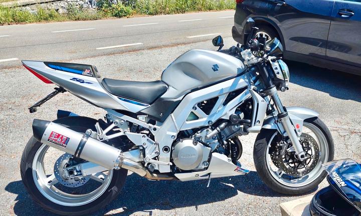 Suzuki SV 1000 - 2005 " S. C. A. M. B. I. O"