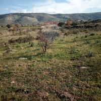 Terreno - Carlentini