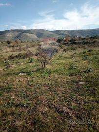 Terreno - Carlentini