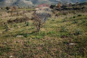 Terreno - Carlentini