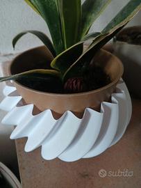 Sottovaso in plastica