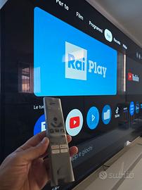 TV OLED AMBILIGHT PHILIPS 77 pollici come nuovo