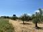 Immagine 16