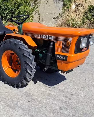 Trattore goldoni 48 cavalli 3 cilindri