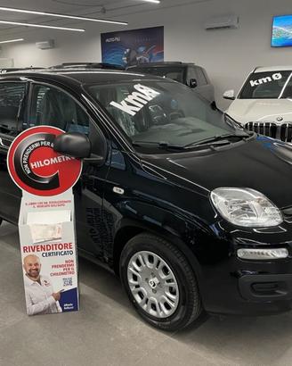 FIAT Pandina 1.0 Hybrid Icon KM0 MY26