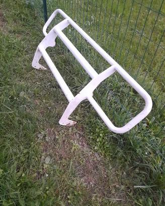 Paravacche per auto