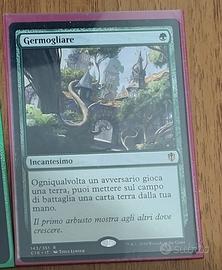 Carte Magic the Gathering 