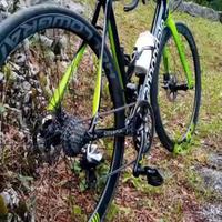 Cannondale Synapse