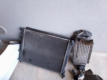 radiatori e fianchetti ant.