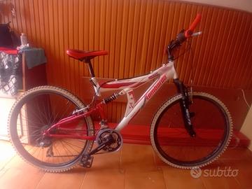 lotto di bici