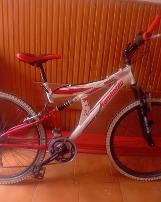 lotto di bici