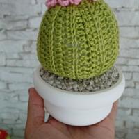 cactus a uncinetto 