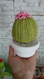 cactus a uncinetto 