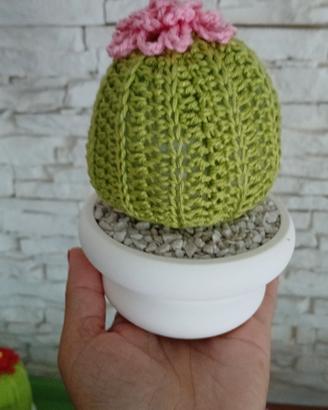 cactus a uncinetto 