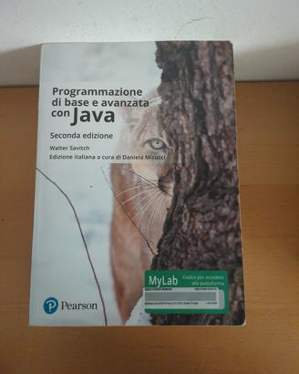 programmazione di base e avanzata con Java 
