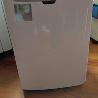 pinguino condizionatore