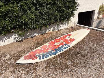 Windsurf BIC anni 80 - GRATIS