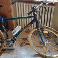 BICICLETTA  MOUNTAIN BIKE 