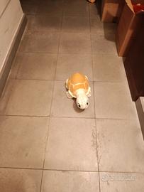 Martina la tartaruga 