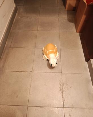 Martina la tartaruga 