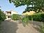 Immagine 25