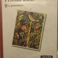 Libri scolastici di grammatica latina